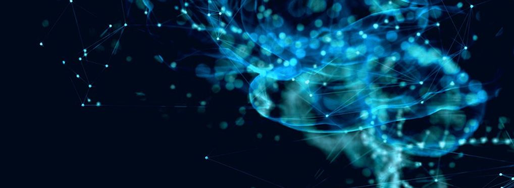 Auditing a City of Vienna AI solution with a trustworthy AI framework