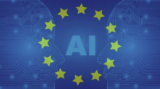 British Standards Institution: EU AI Act Readiness Assessment and Algorithmic Auditing
